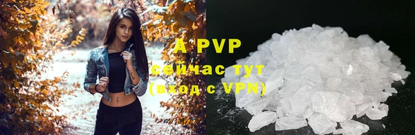 эйфоретик Надым